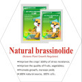 Natural Brassinolide70% Tc Powder
